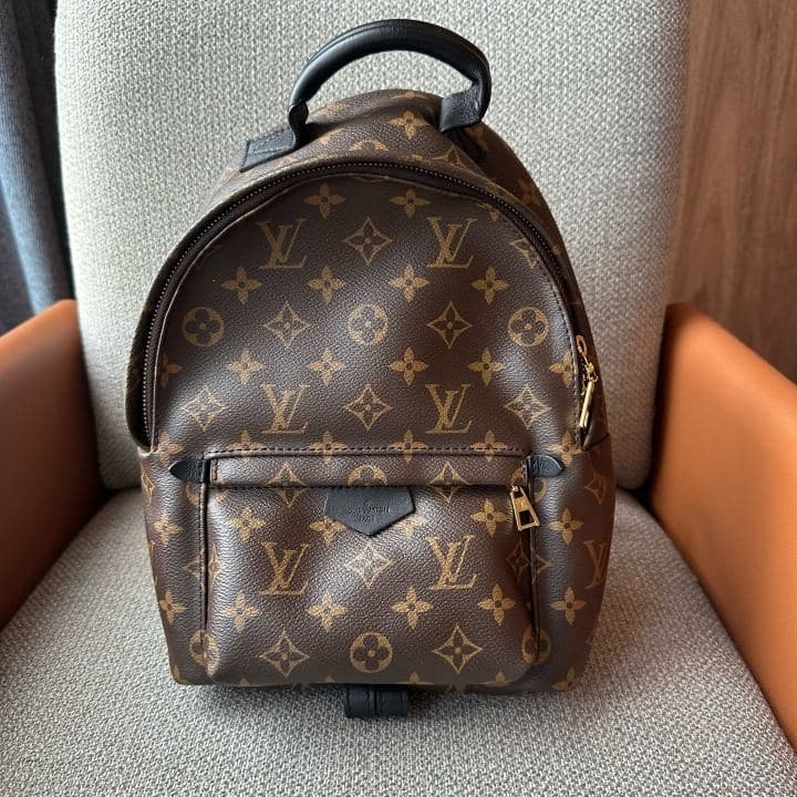 Louis Vuitton Palm Springs Backpack MM, Brown, condition grade A